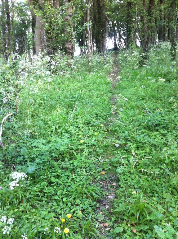 Pathways, Beachwood Cottage Bath Eksteriør billede